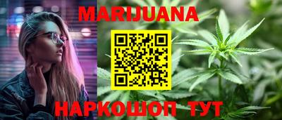 гашик Моздок