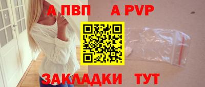 гашик Моздок