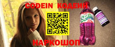 гашик Моздок