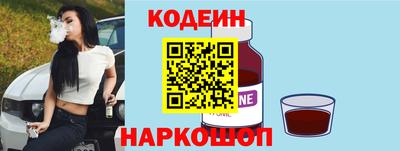 гашик Моздок