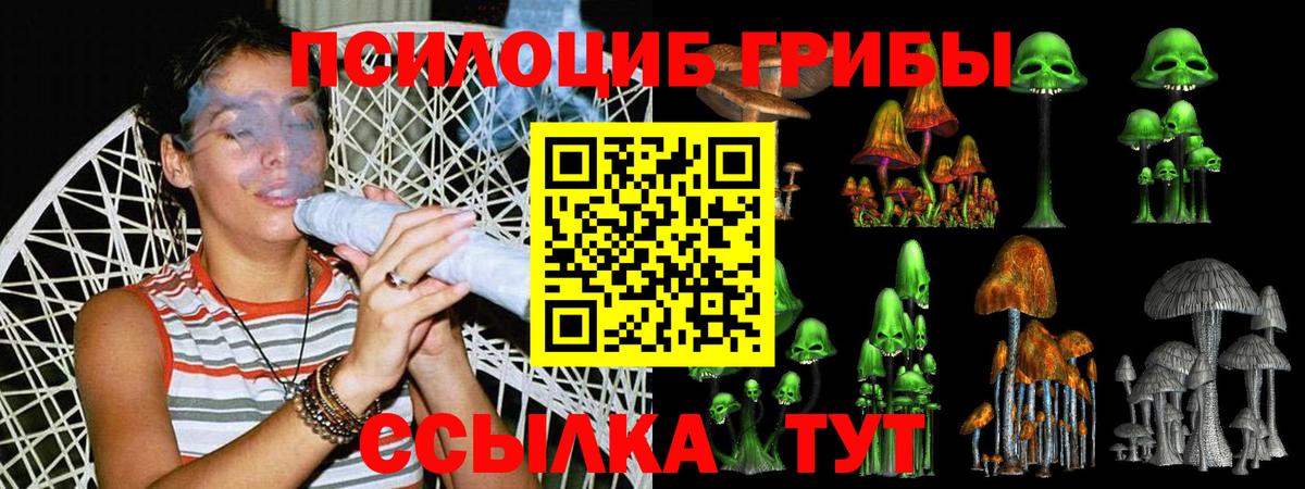 Скопин  Галлюциногенные грибы ЛСД  Вход с VPN 